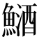 鿐