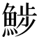 𩷖