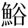 𩷝
