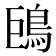 𩿝