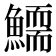 𩻞