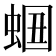 𧋡