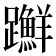 𨇤