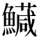 𩼘