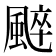 𩗶