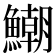 𩻹