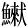 𩻿