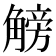 𧤞