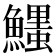 𩼞