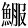 𩸤