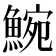 𩸩
