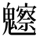 𩴳
