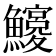 𩼵