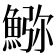 𩸹