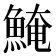 𩸆