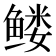 𱈆