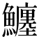 𩼼