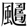 𩘿