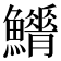 𩼿