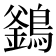 𪄇