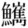 𩽌
