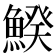 𩹍