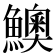 𩼈