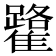 𩁐