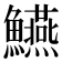 𩽒