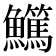 𩽖