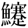 𩽜