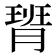 𪱟