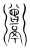 𩱭(传抄·宋·集篆古文韵海)