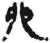 卯(简·秦·岳麓书院)