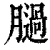 膼(印刷字体·清·康熙字典)