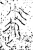 𨓹(金文·商·商)