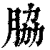 脇(印刷字体·清·康熙字典)